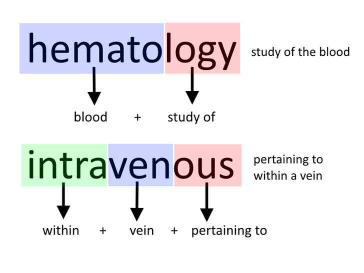 Image intitulée Understand_Medical_Terminolgy_Step_4.png